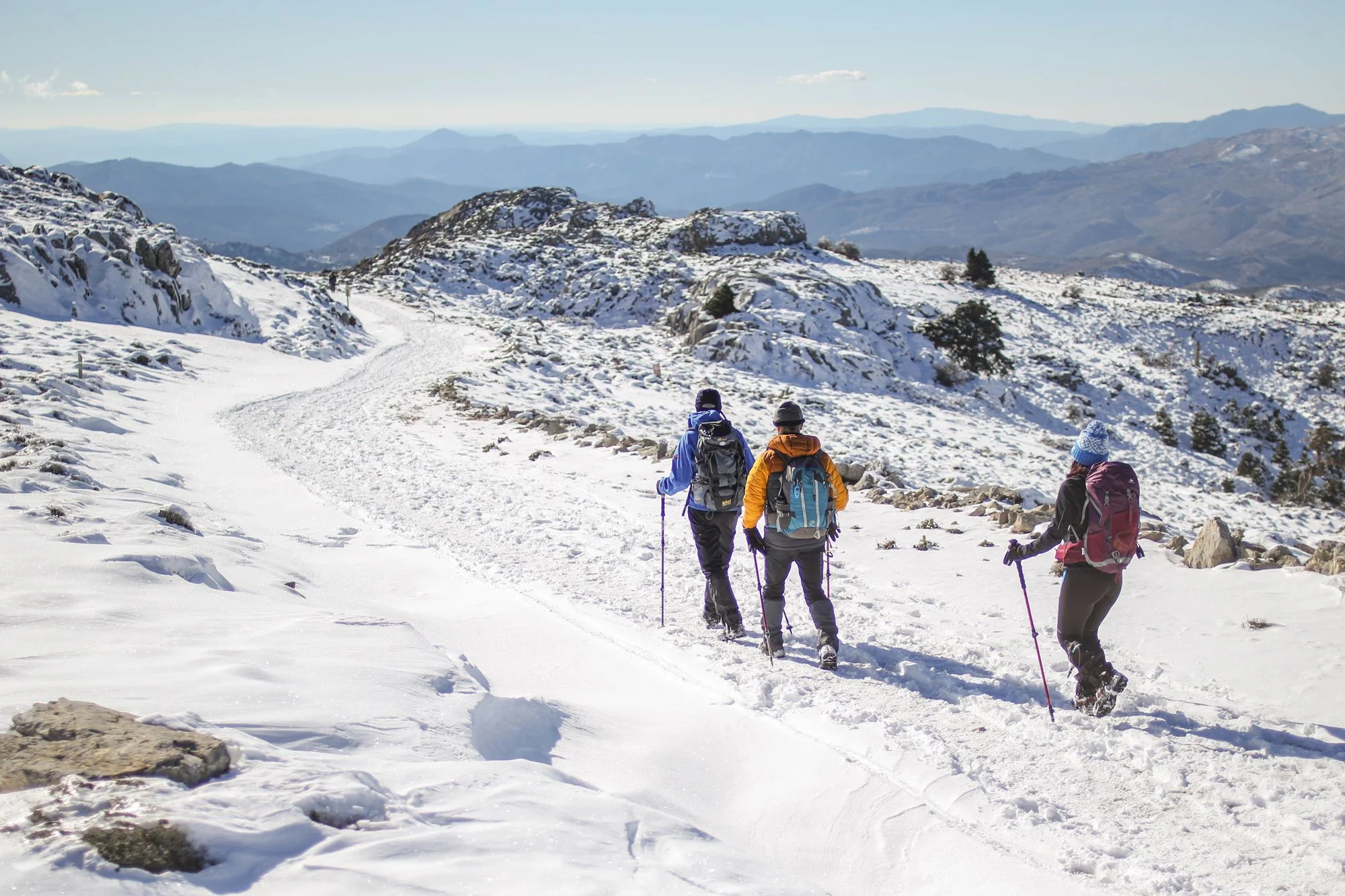 gr-cms-media-featured_images-none-5ea1de22-2d08-4b02-8f4b-5ff6ee83bbca-00sierra-de-nieves